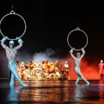 Solo show sillas altas Solo show - Imagen 3