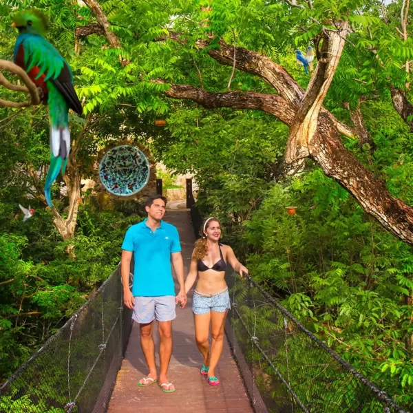 Xcaret Basico TOUR con Transporte Redondo - Image 15