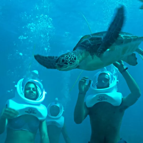 Xcaret Plus TOUR con Transporte 🇲🇽 Mexicanos - Image 7