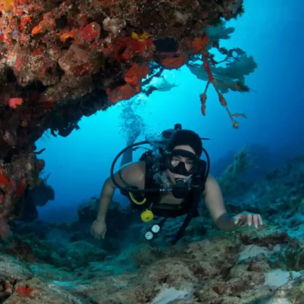persona bucendo en el mar de cozumel
