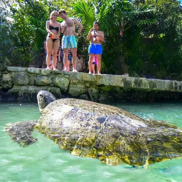 Xcaret Plus TOUR con Transporte 🇲🇽 Mexicanos - Image 12