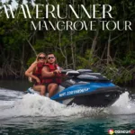 WAVERUNNER MANGROVE