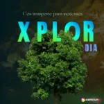 Xplor DIA TOUR con Transporte para Mexicanos🇲🇽