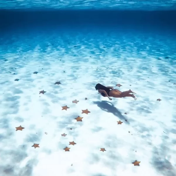 Lancha Transparente en Cozumel 🔥- Clear Boat - Image 5