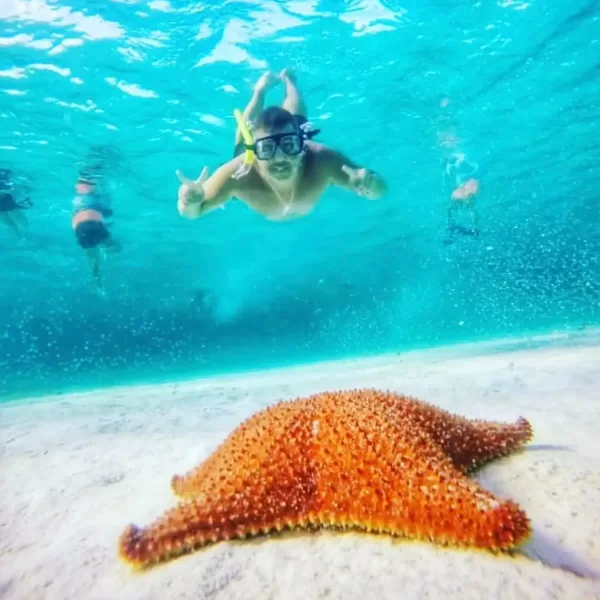 Lancha Transparente en Cozumel 🔥- Clear Boat - Image 4