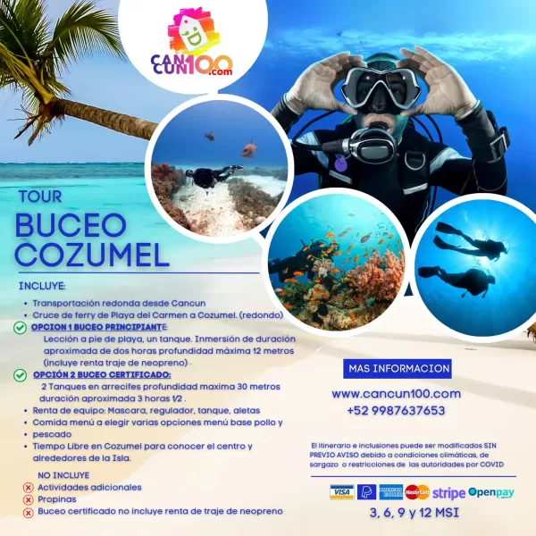 Cozumel Buceo Principiantes y Certificados - Image 2