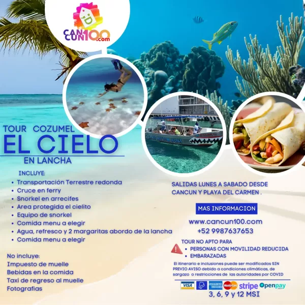 Lancha Transparente en Cozumel 🔥- Clear Boat - Image 2