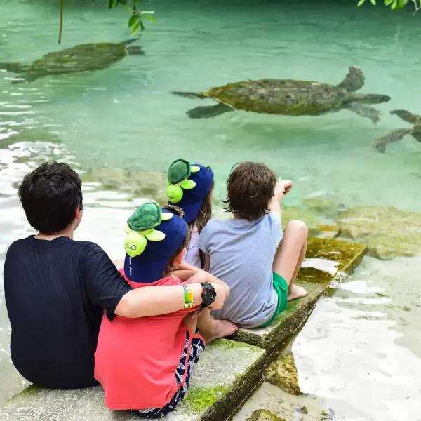 Xcaret Plus TOUR con Transporte 🇲🇽 Mexicanos - Image 16