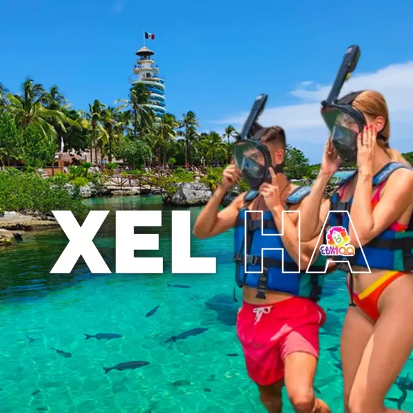 Xel-Há Todo Incluido TOUR con Transporte 🇲🇽 Mexicanos - Image 3