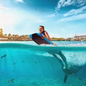 Swim Adventure Nado con Delfines ISLA MUJERES – Intermedio