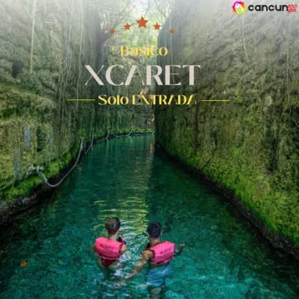 XCARET ® Básico - Solo ENTRADA