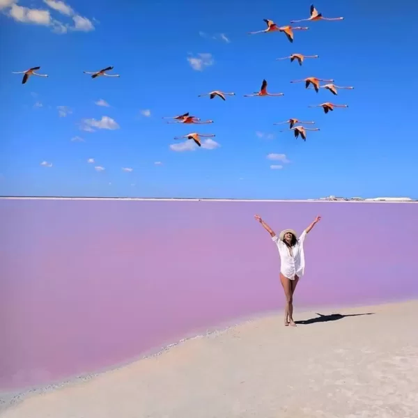 Las COLORADAS y Rio Lagartos Tour de Dia - Image 5