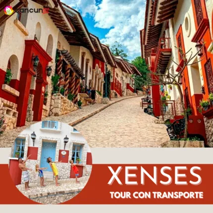 Xenses TOUR con Transporte