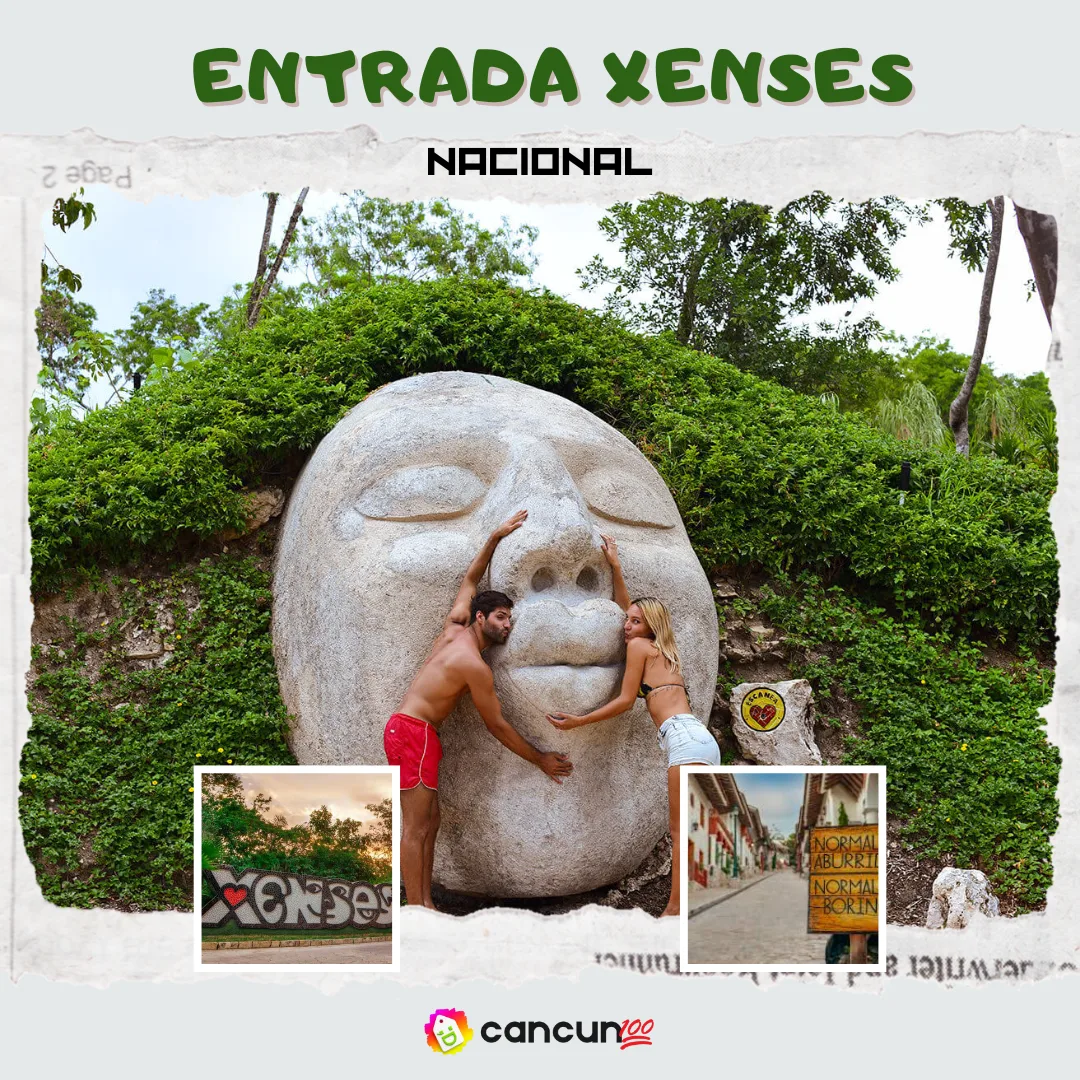 michelle(10) Entrada Xenses Nacional - Imagen 1