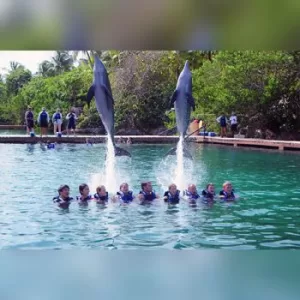 PRIMAX 6 + Parque Xcaret PLUS - Nado con Delfin AVANZADO