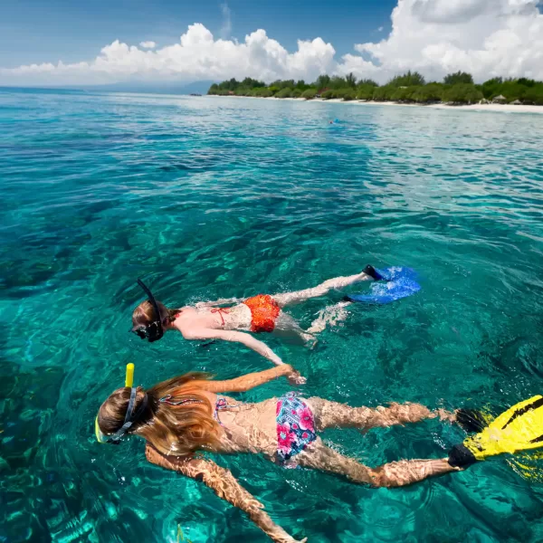 Isla Contoy Economico 🔥+ Isla Mujeres Todo Incluido - Imagen 2