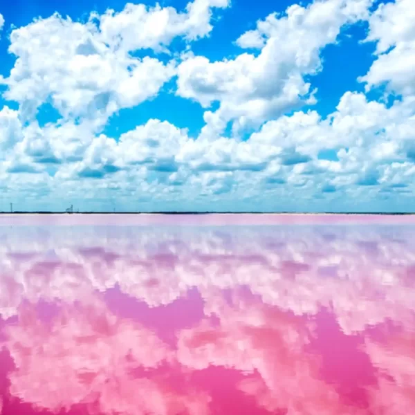 Las COLORADAS y Rio Lagartos Tour de Dia - Image 3